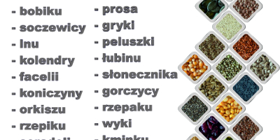 Kupię: JĘCZMIEŃ paszowy oraz konsumpcyjny, PSZENICĘ, GROCH, PELUSZKA, PSZENICA,