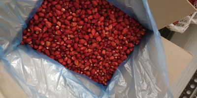 Sprzedam truskawki mrożone instant (fragaria vesca). Kraj pochodzenia Ukraina.