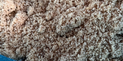 Sprzedam mak węgierski.