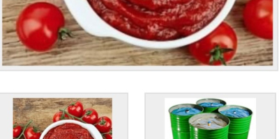 Dzień dobry. Szanowni Państwo. Nasza firma posiada: Aseptyczna pastę