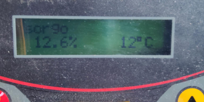 Witam do sprzedaży posiadam sorgo czerwone odmiana RAGT Belluga.