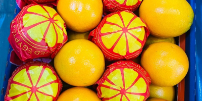 Pomarańcze Navel i Valencia Teleskopowe i z otwartym dachem,