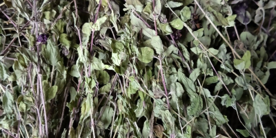 Witam oferuję państwu na sprzedaż ziele oregano suszone w