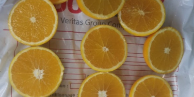 pomarańcza z maroka dostępność: odmiany navel, newhall, salustatiana i
