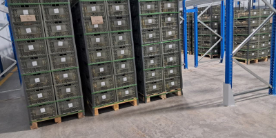 Liofilizowane owoce Truskawka - 16 USD kg Eksport na