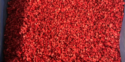 Firma OOO &quot;SadBerry&quot; zajmuje się sprzedażą malin Gris. Czyszczenie