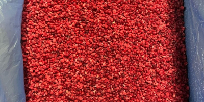 Firma OOO &quot;SadBerry&quot; zajmuje się sprzedażą malin Gris. Czyszczenie