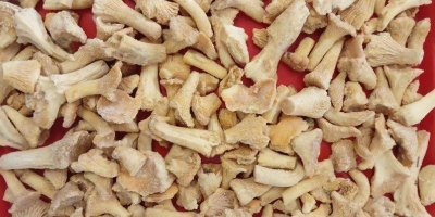 Sprzedaż mrożonych pieczarek i grzybów leśnych Oferujemy pieczarki mrożone