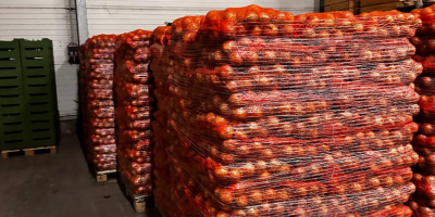 Sprzedam cebulę żółtą, workowana 15 kg 10 kg Big
