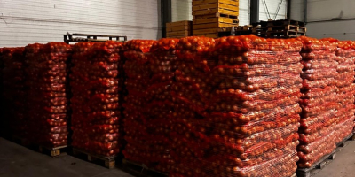 Sprzedam cebulę żółtą, workowana 15 kg 10 kg Big