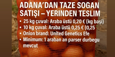Sprzedajemy świeżą cebulę z Adany w Turcji Do odbioru