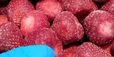 Mrożone truskawki IQF Klasa: A (z analizą pestycydów i