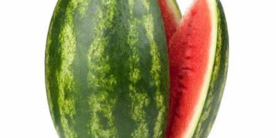 Marokański arbuz – naturalnie słodszy, starannie zarządzany Uprawiane w