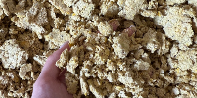Makuch sojowy (GMO) w big-bagach – FCA Firma: Prodtex,