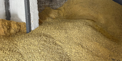 Makuch sojowy (GMO) w big-bagach – FCA Firma: Prodtex,