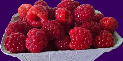 Guten Tag, wir verkaufen Himbeeren der Sorte ENROSADIRA von