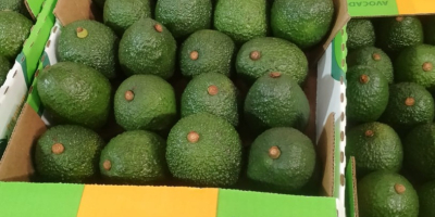W Premium Foods International jesteśmy dumni, że możemy zaoferować