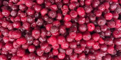 Продаем замороженную вишню без косточки, коробки на 10 кг.