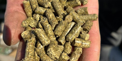 Pellety lucerny to wysokiej jakości pasza dla zwierząt, która