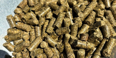 Pellety lucerny to wysokiej jakości pasza dla zwierząt, która