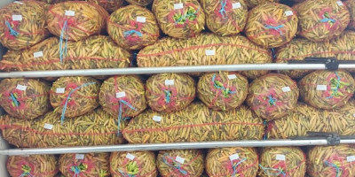 W ofercie od sierpnia do października: czerwona papryka kapia