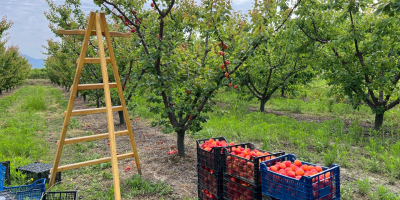 Skontaktuj się z nami, aby uzyskać więcej szczegółów.
