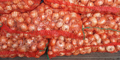 Sprzedam cebulę podwiązkową pakowaną w worki po 25 kg