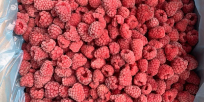 Maliny mrożone (dodatkowo)