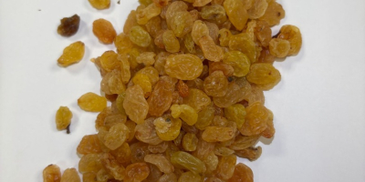 We are selling Yeallow golden rasins packed in 10kg