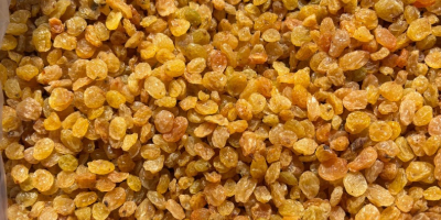 We are selling Yeallow golden rasins packed in 10kg