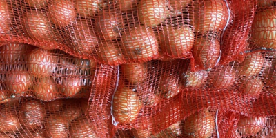 Sprzedam: Cebulę, Marchew, Pasternak, Ziemniaki 10kg / big bag