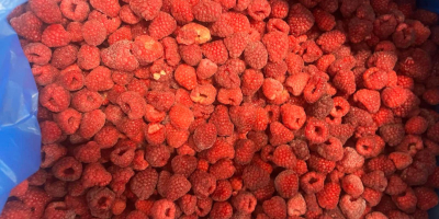 Sprzedam maliny oryginalne, 80/20 oraz kaszę mannę.