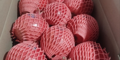 Eksport świeżych granatów z Uzbekistanu, opakowanie: plastikowe pudełko, karton