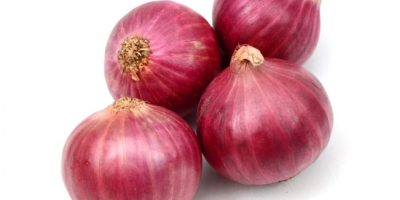 Organiczna czerwona cebula łagodzi wiele chorób, w tym przeziębienie,