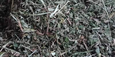 Sprzedam ziele wiązówki,cięta około 1500kg