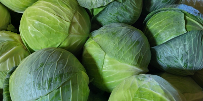 Sprzedam kapustę białą na sztuki lub kilogramy. Więcej informacji