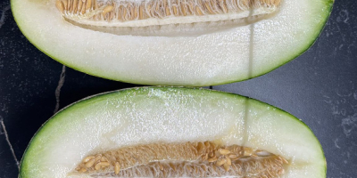 Dzień Dobry Mam do sprzedania melony z Uzbekistanu. Ciągłość