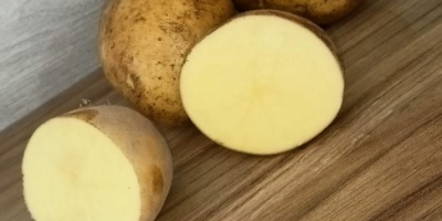 Do sprzedaże mam ziemniaki odmiana Soraya sortowane Kaliber 5