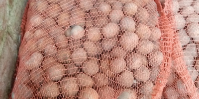 Posiadam na sprzedaż ziemniaki pakowane w worki po 25