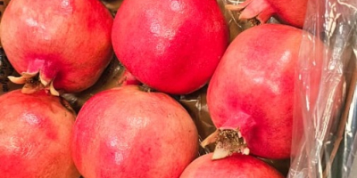 Szczegóły produktu: Pochodzenie: Egipt Odmiana: Świeży, wspaniały granat Kaliber: