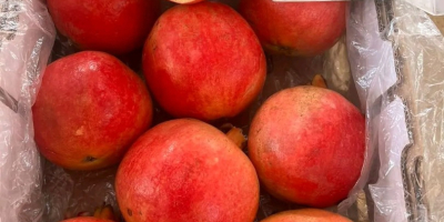 Szczegóły produktu: Pochodzenie: Egipt Odmiana: Świeży, wspaniały granat Kaliber: