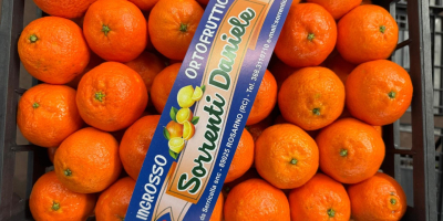 DMD Fruit Srl to firma rodzinna z siedzibą w