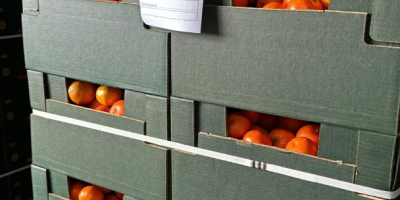 DMD Fruit Srl to firma rodzinna z siedzibą w