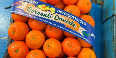DMD Fruit Srl to firma rodzinna z siedzibą w