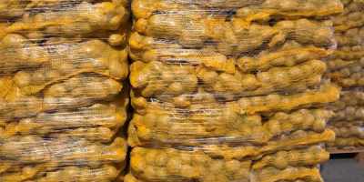 Witam, mam do sprzedania ziemniaki z możliwością FITO. Oferuję