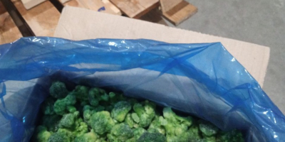 Mrożone brokuły (opakowanie 7 kg/karton) Dostępna nieograniczona ilość