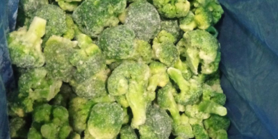 Mrożone brokuły (opakowanie 7 kg/karton) Dostępna nieograniczona ilość