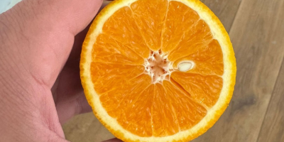 Pomarańcz Kraj pochodzenia Grecja Odmiana Valencia Słodka Dostępne 13ton