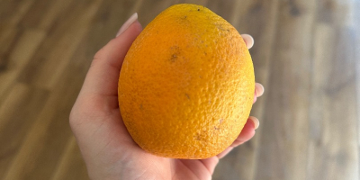 Pomarańcz Kraj pochodzenia Grecja Odmiana Valencia Słodka Dostępne 13ton