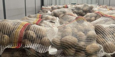Ziemniaki niemieckie premium – hurt w całej Europie Szukasz